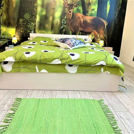 Nature Escape Studio Bukareszt Zewnętrze zdjęcie