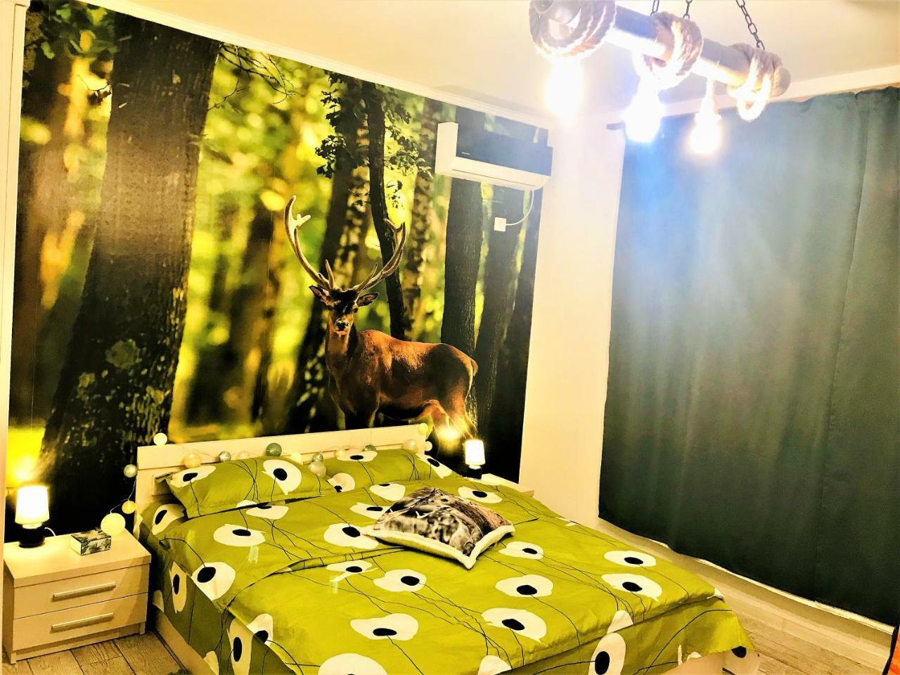 Nature Escape Studio Bukareszt Zewnętrze zdjęcie